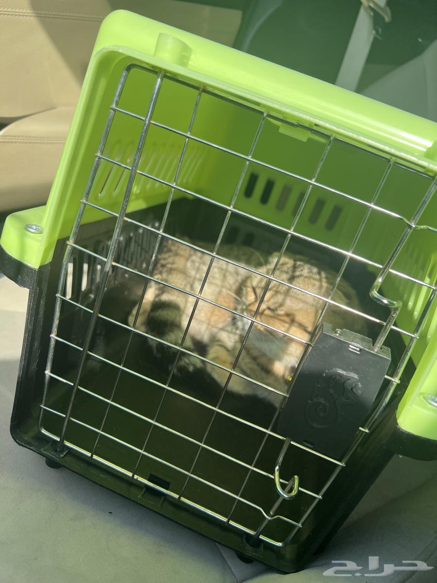 Scott Fold64453106762115113