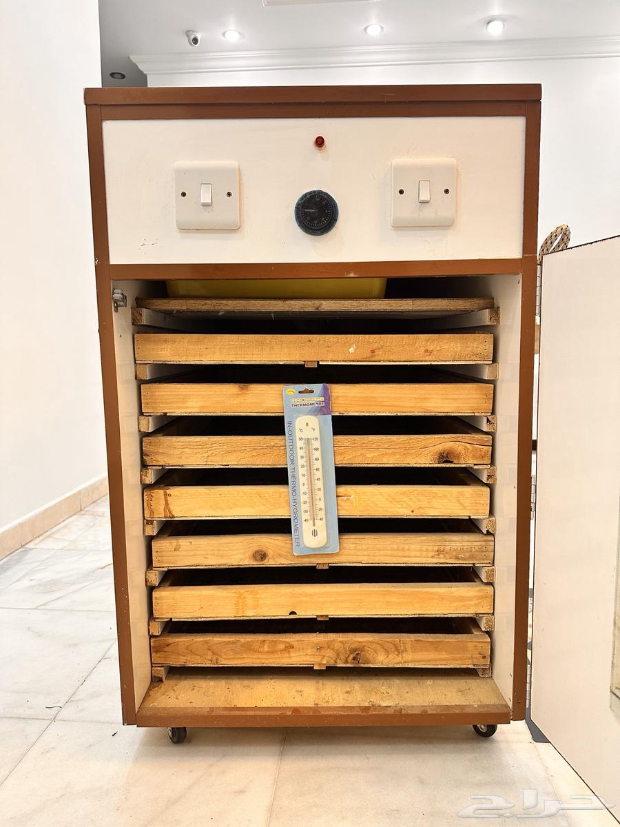 فقاصة بيض 1500 بيضة64449969580931110