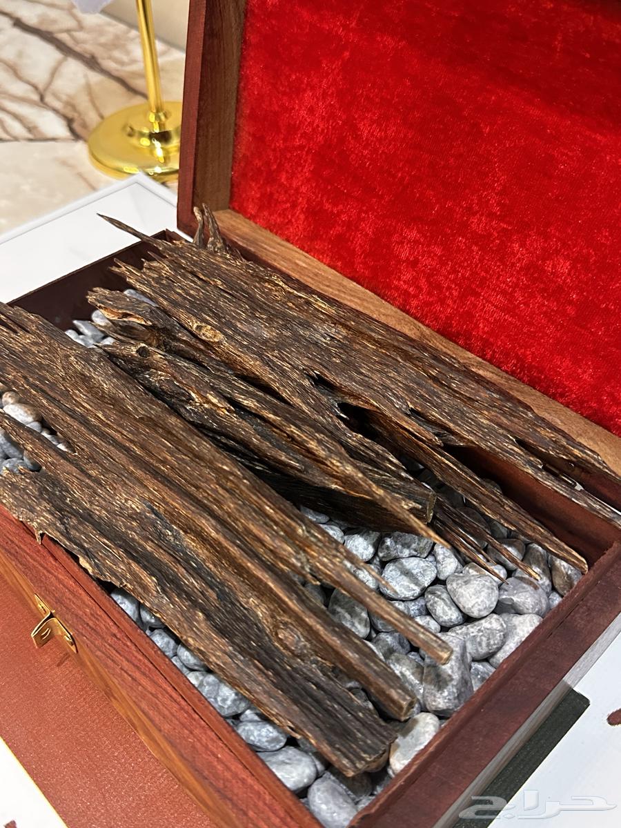 عود هندي احمر قديم ملكي64450550534529112