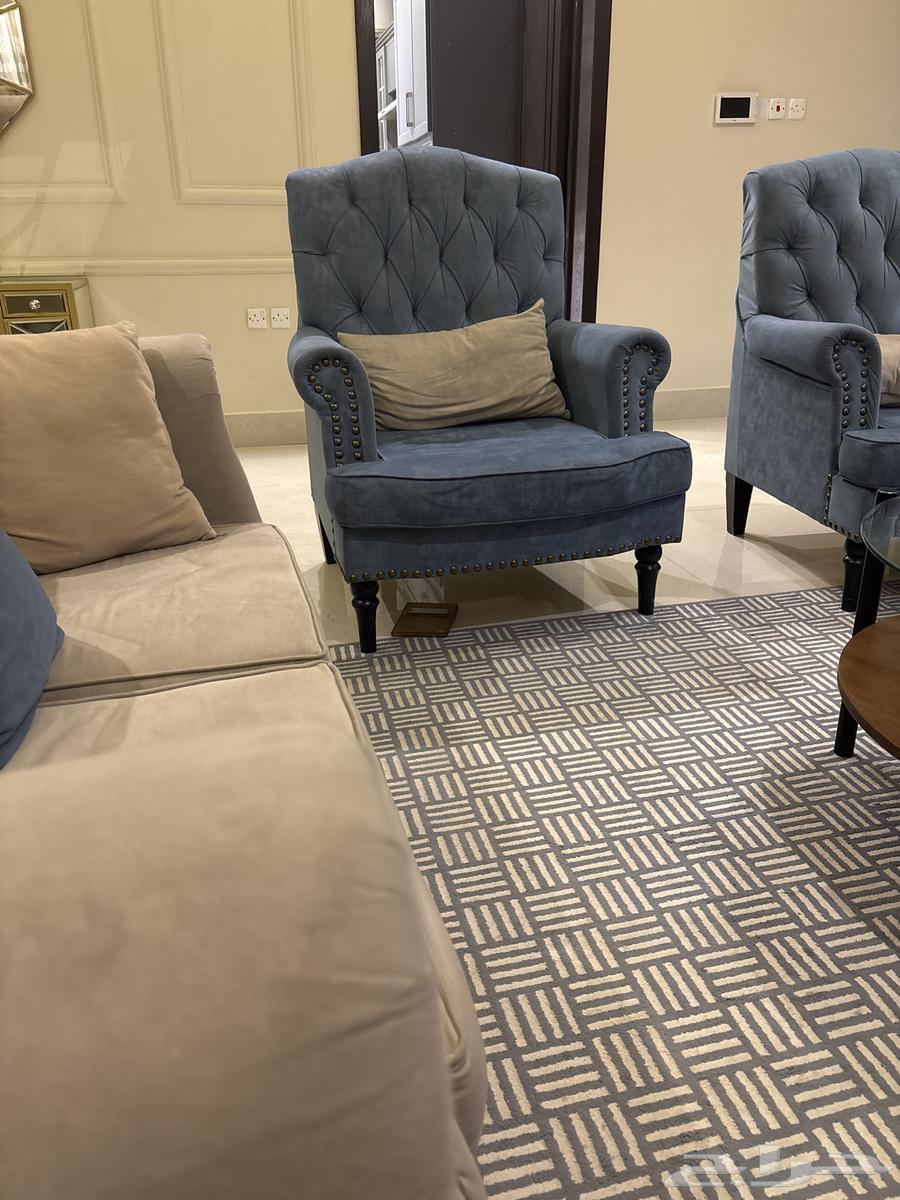 Sofas and carpets64456254858498110