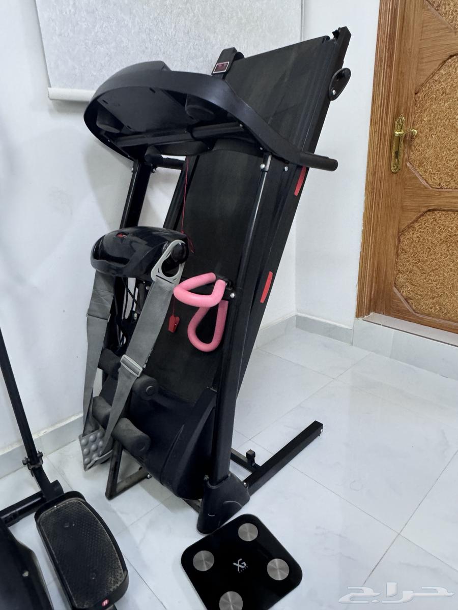 Walking with Gazelle64453311832449112