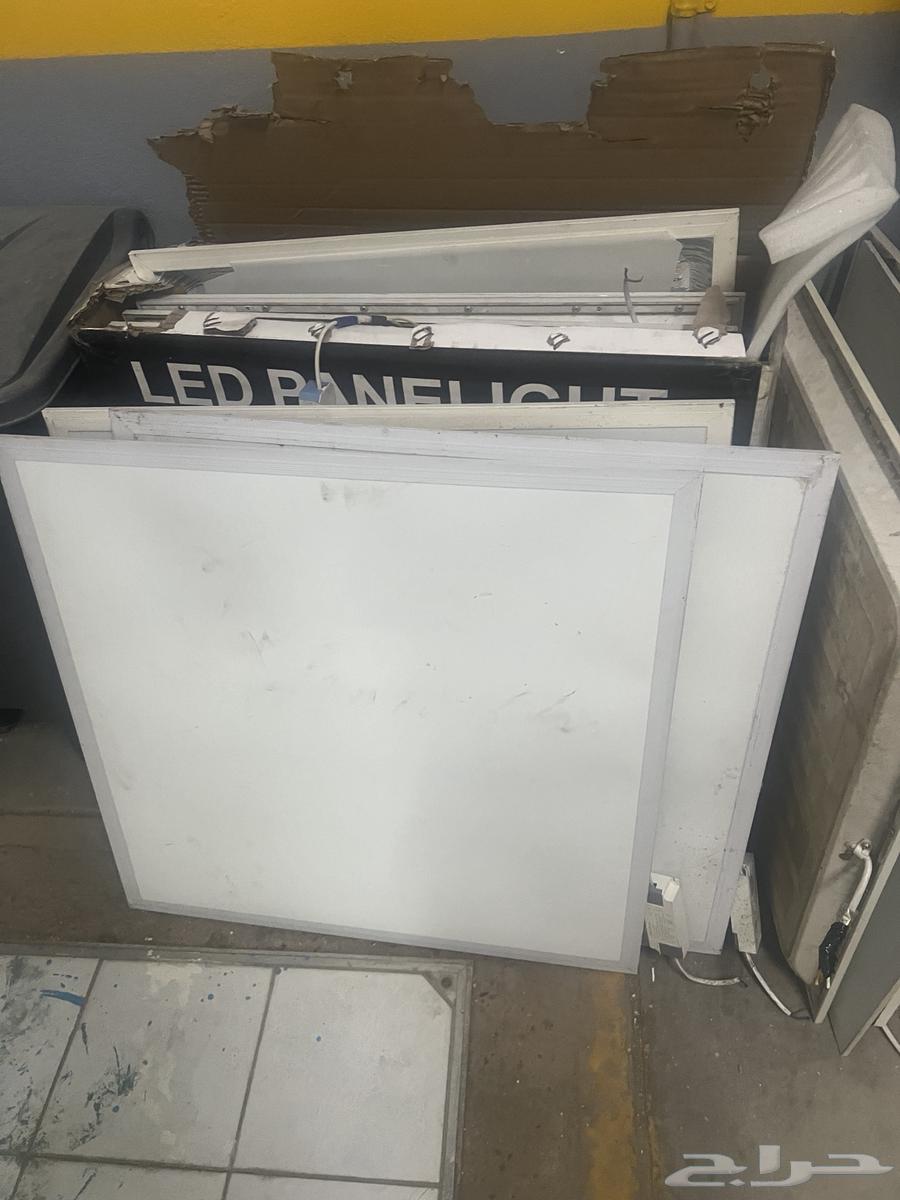 لنبات محل للبيع المستعجل64453586356481111