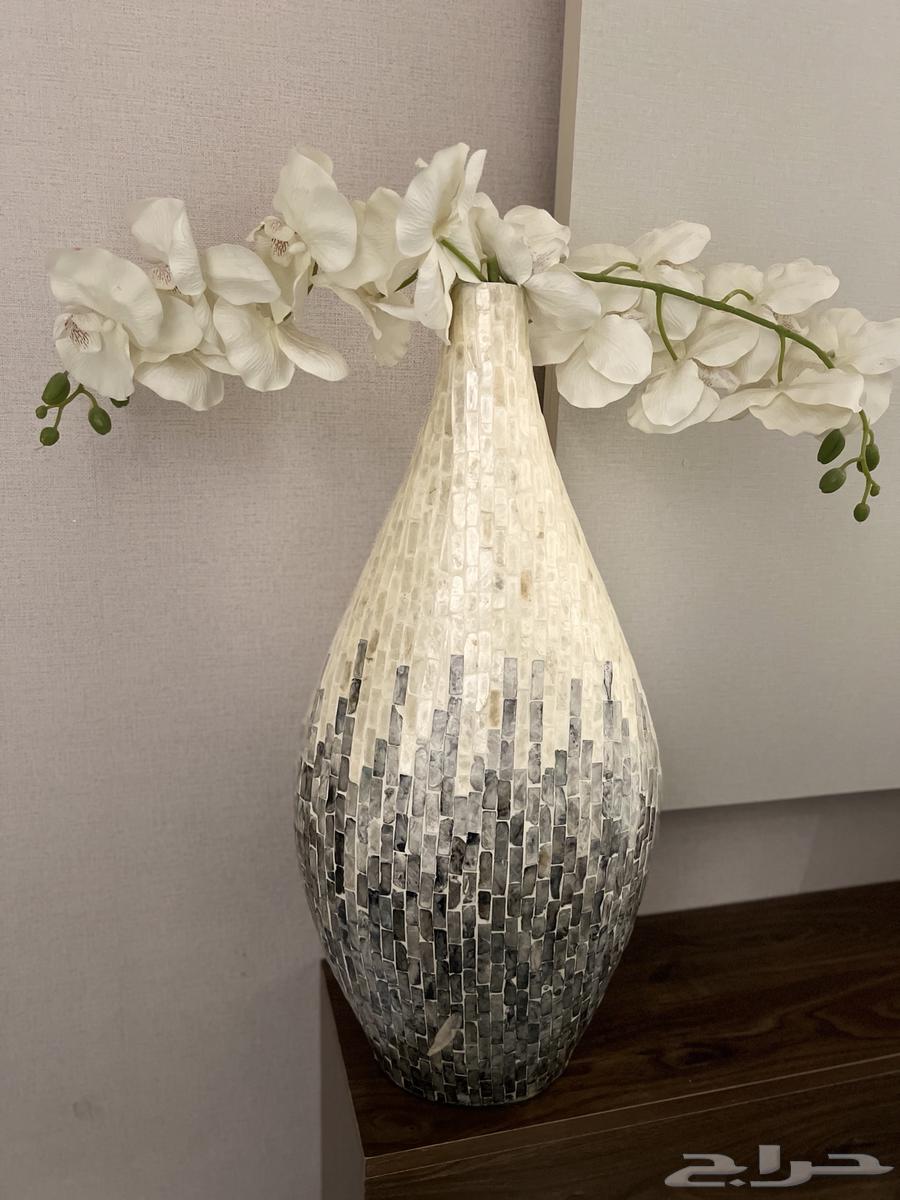 تحف من هوم بوكس جديده مع صحن ديكور64455481751683110