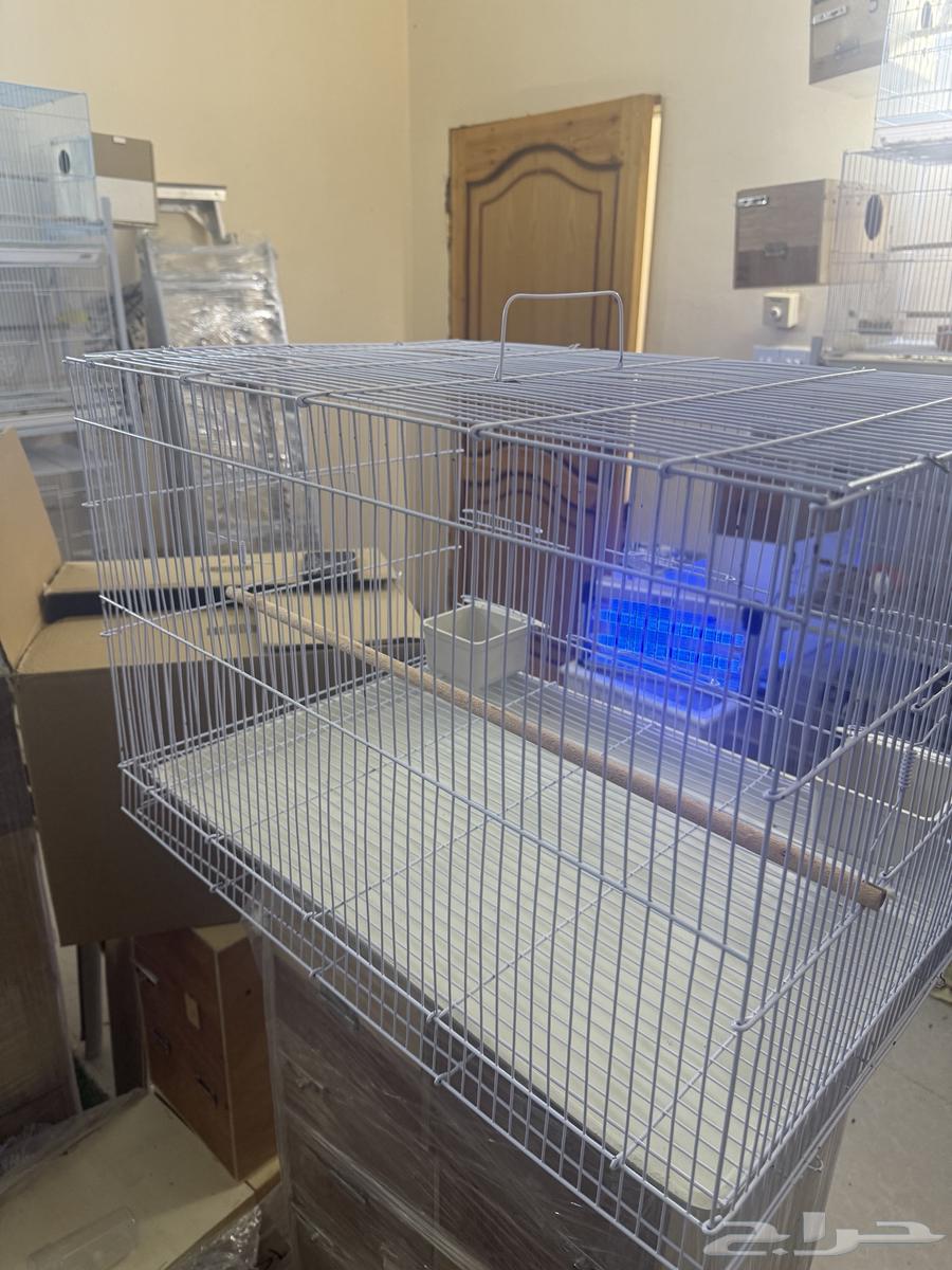 Bird cages64455440726915111