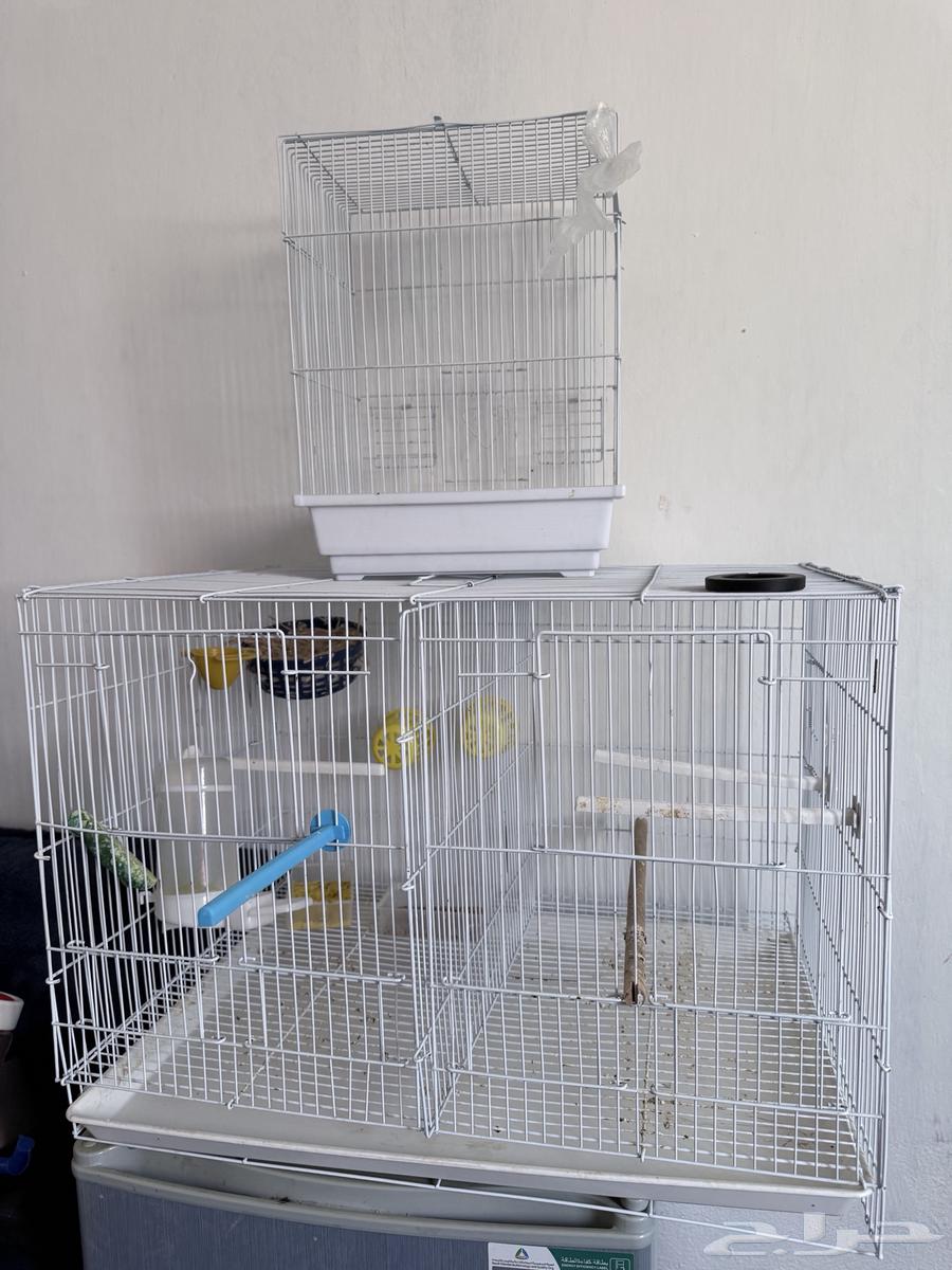 قفص ممتاز للكناري والطيور الحب والزبره..64450312688769110