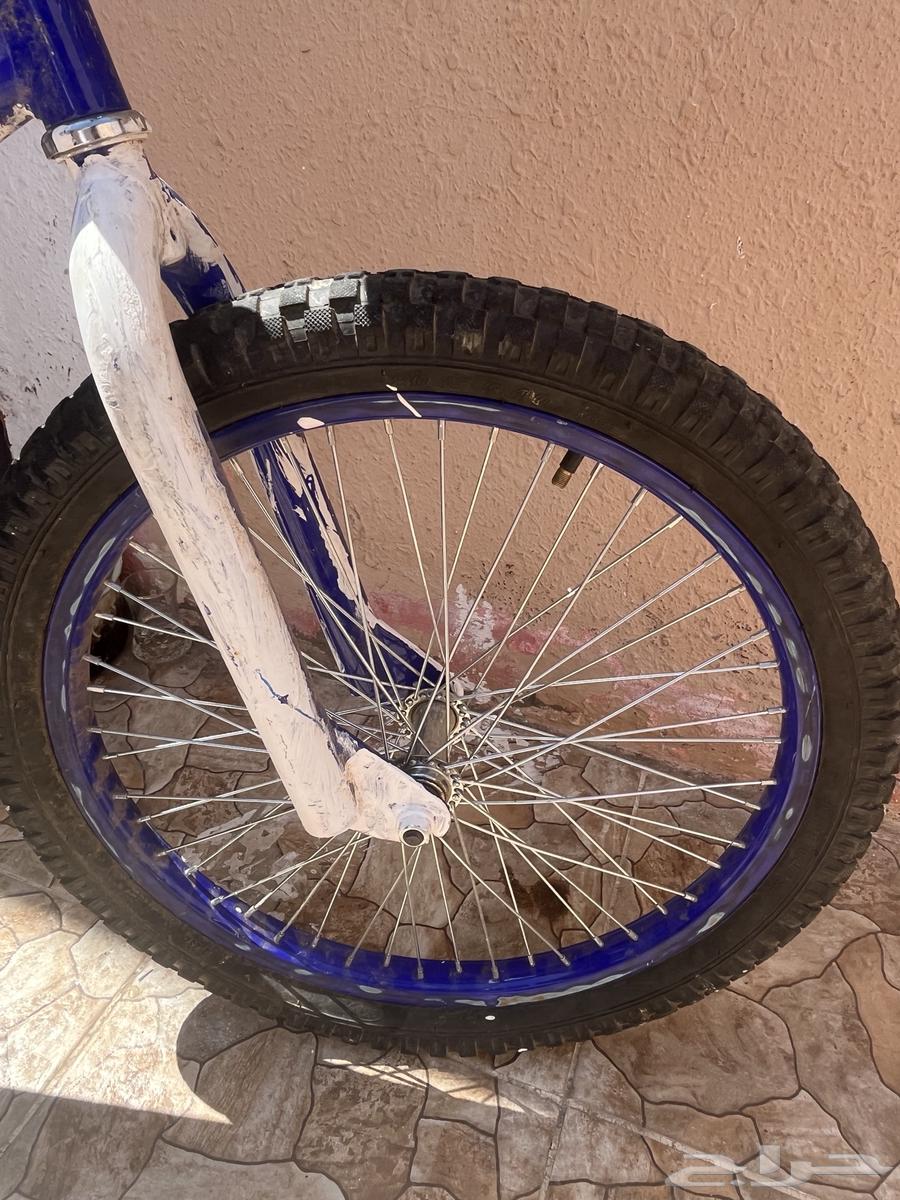 سيكل مقاس 20 كوبرا جنوط سليمه كل شي سليم إلى الكفر الي ورى64453106798977111