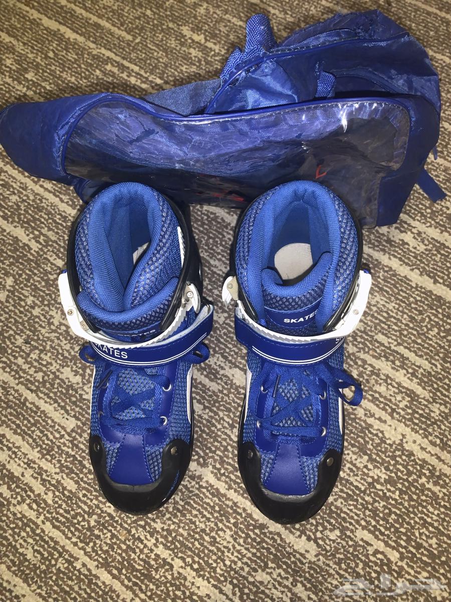 Skate Size (L)64452509302531113