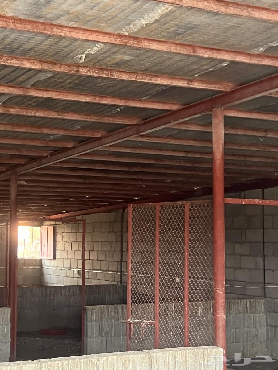 هنقر جديد شرط معه عازل حراره ابواب درايش64454674066562111