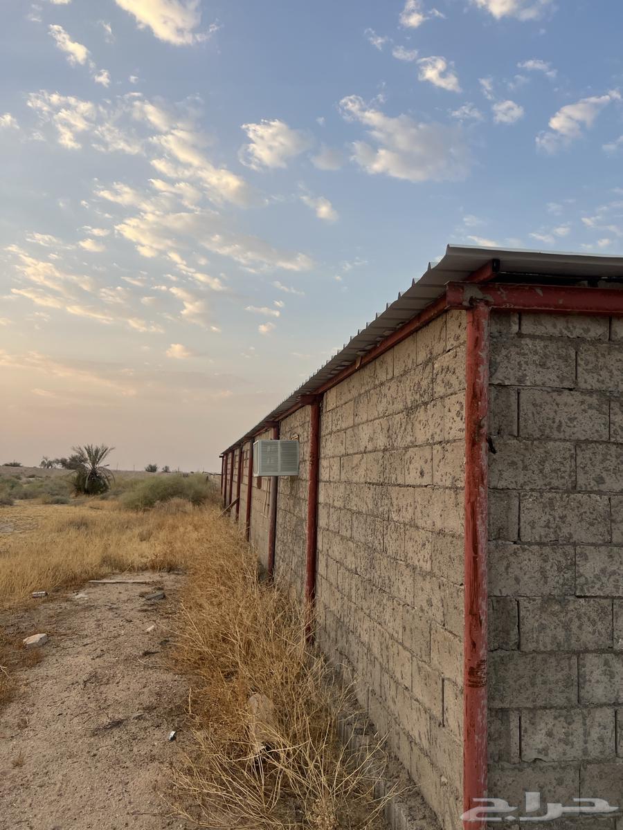 هنقر جديد شرط معه عازل حراره ابواب درايش64454674066562110