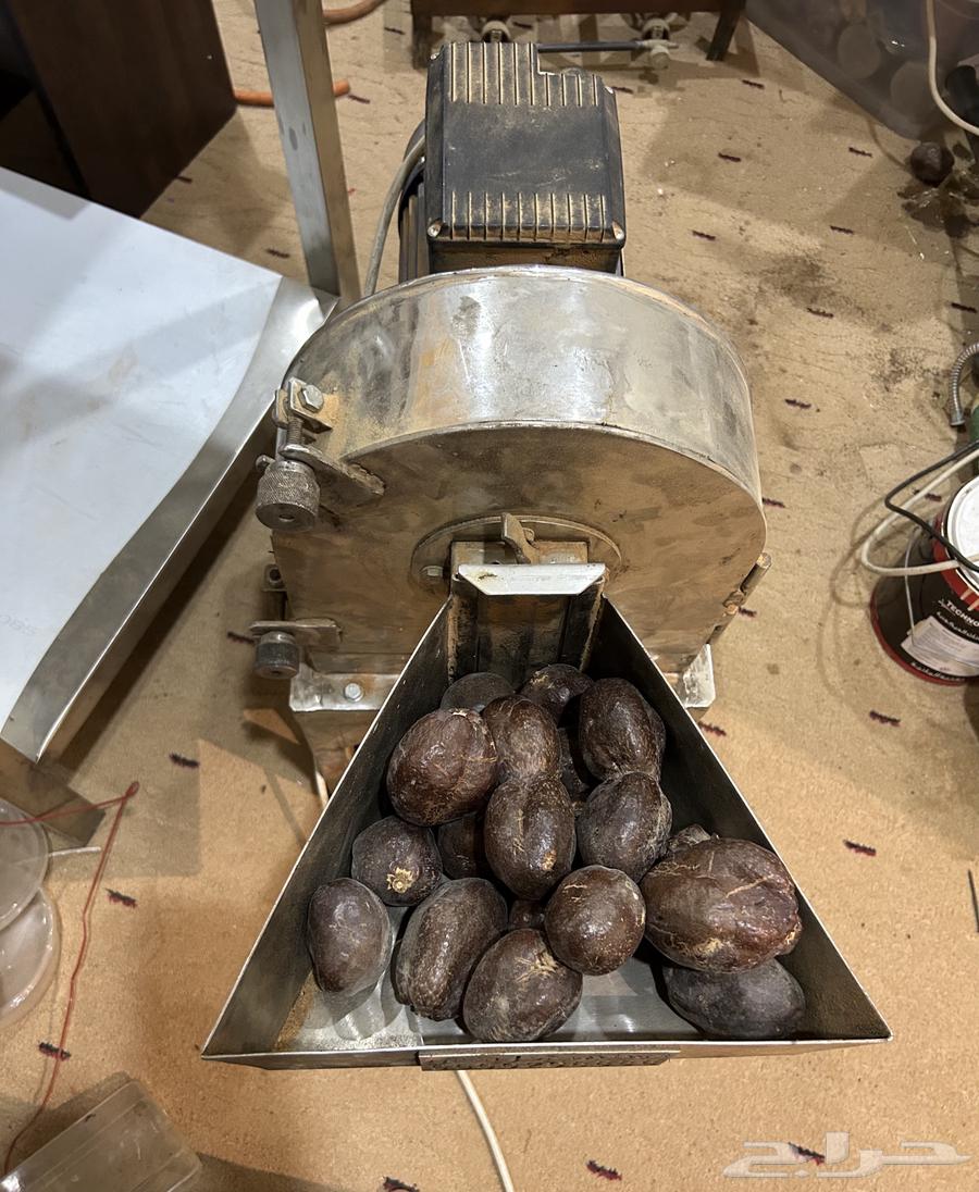 طاحونة وأكياس دوم64431278281219111