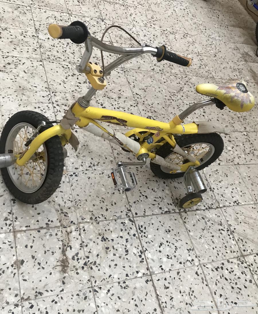 للبيع سيكل كوبرا64452076351107111