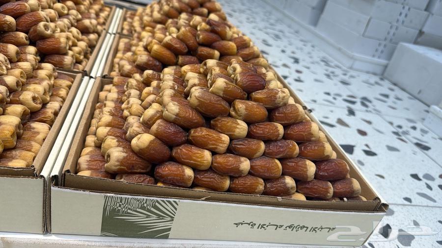 Rare Sukkari Dates64453999460353110