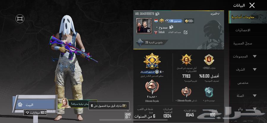 حساب ببجي للبيع64455495256961110