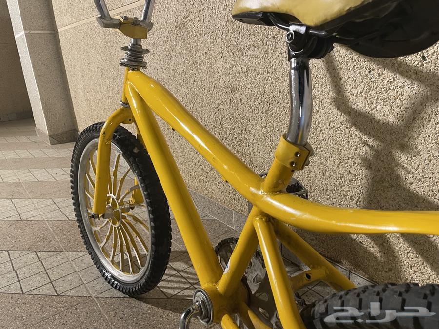 سيكل كوبرا مقاس 2064456309915521113