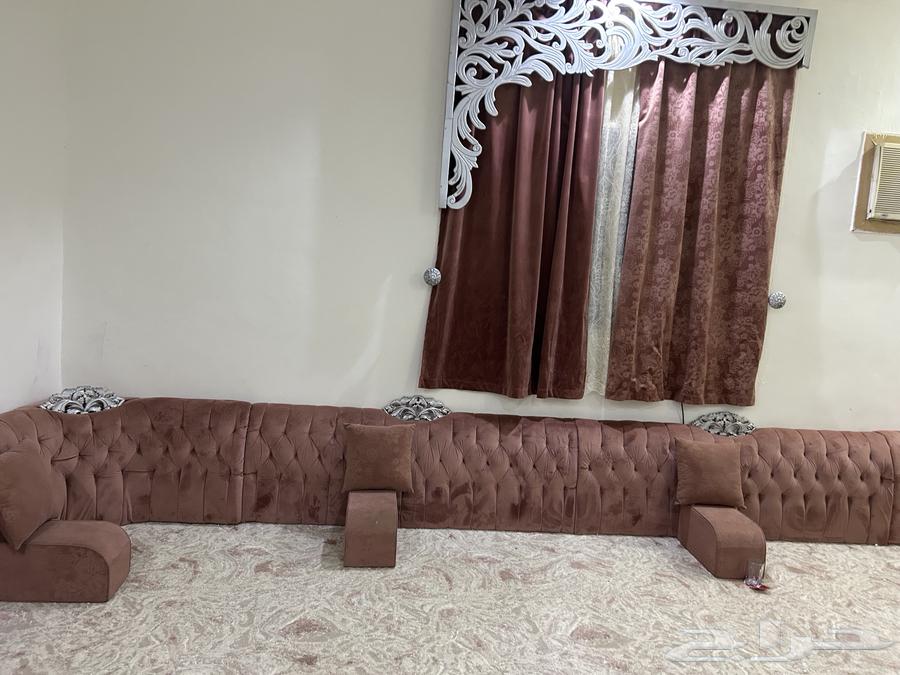 باطرمه ارضي اللون لحمي64455645737985110