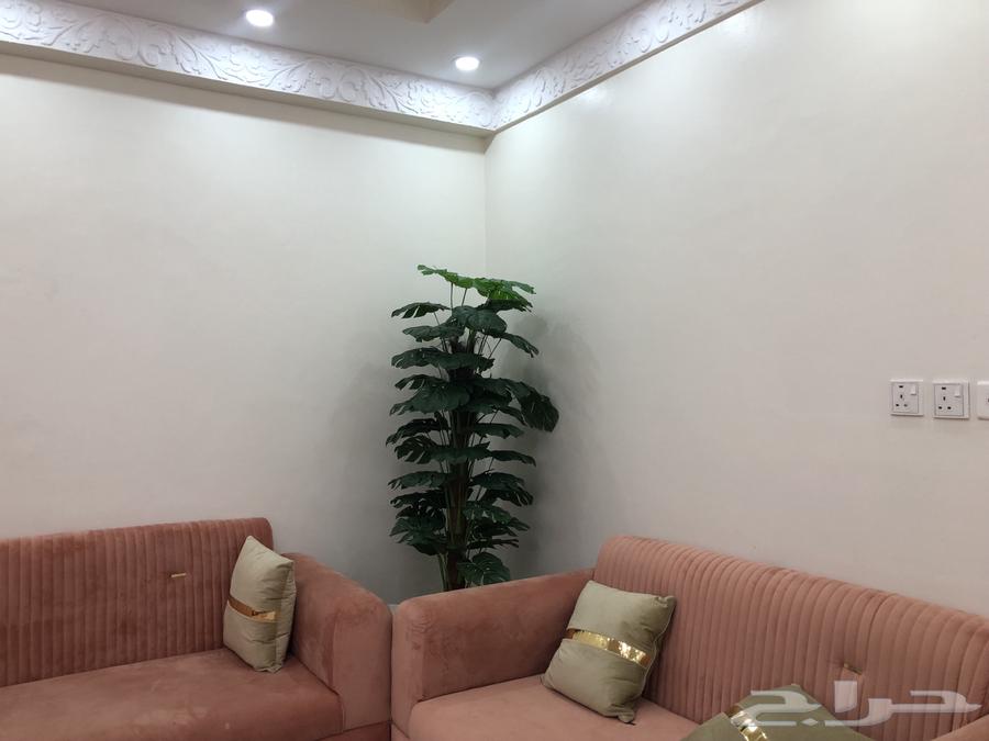 Sofa64454660329857110