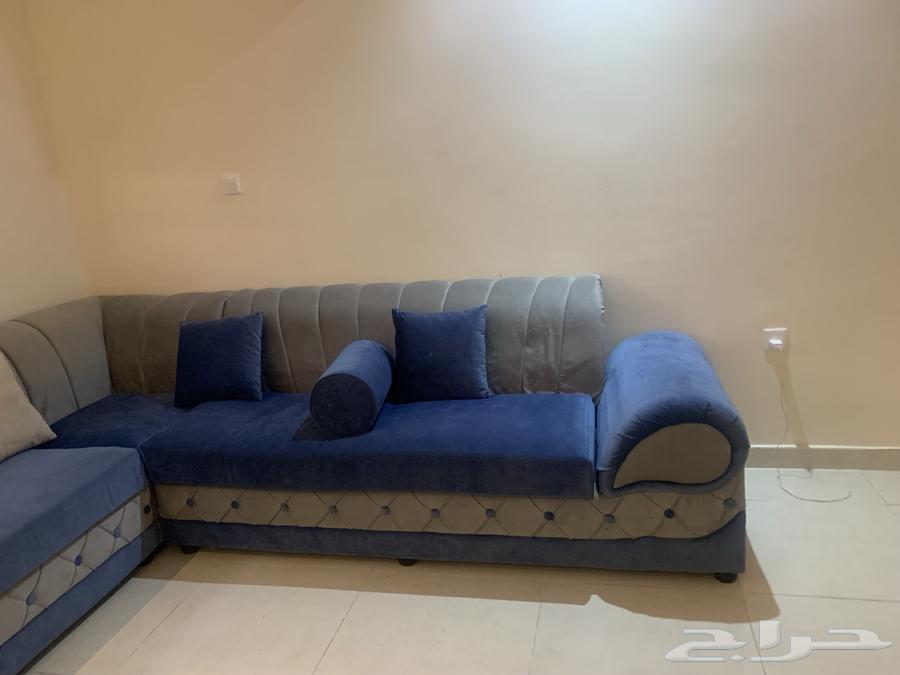 Sofa64451042630786113