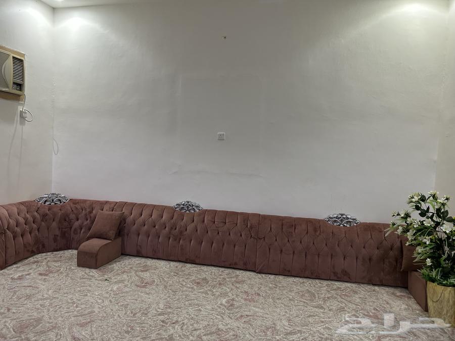 باطرمه ارضي اللون لحمي64455645737985111