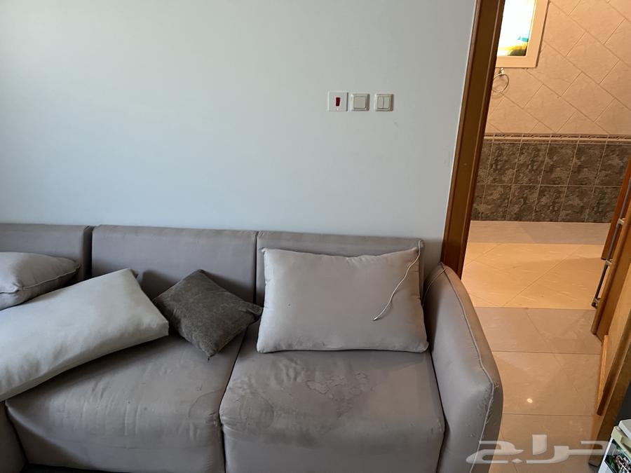 كنب لون بيج مريح حرف L64452023079043111