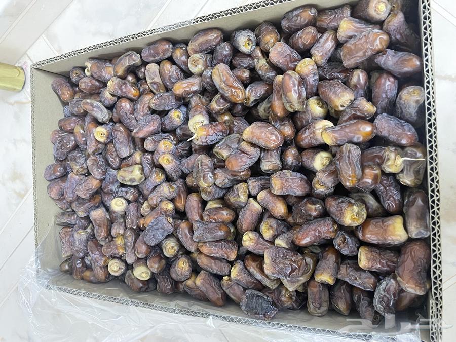 للبيع برني64453806468737112