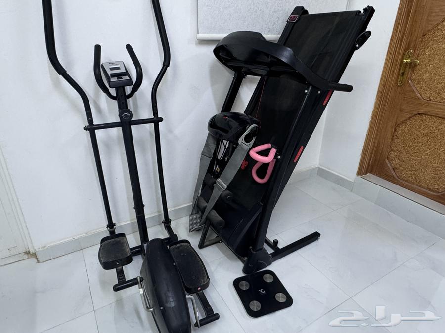 Walking with Gazelle64453311832449110