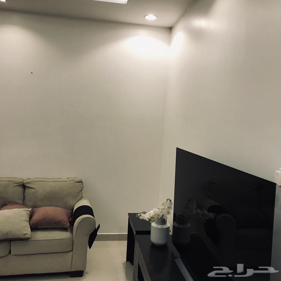 Paint Master, Painter in Riyadh, Painters in Riyadh, Painting Master64144651894145113