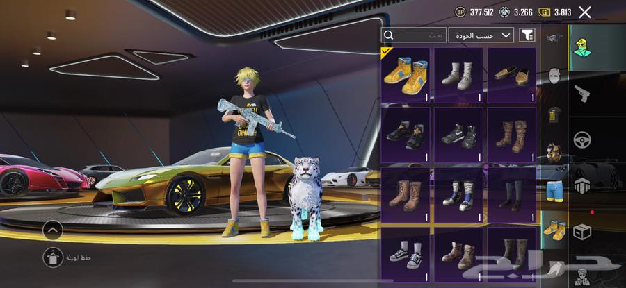 حساب ببجي للبيع لفل 82 كل النوادر64451969813122112