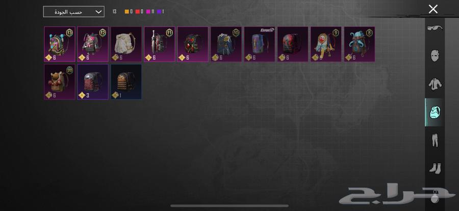 حساب ببجي للبيع64453572376450113