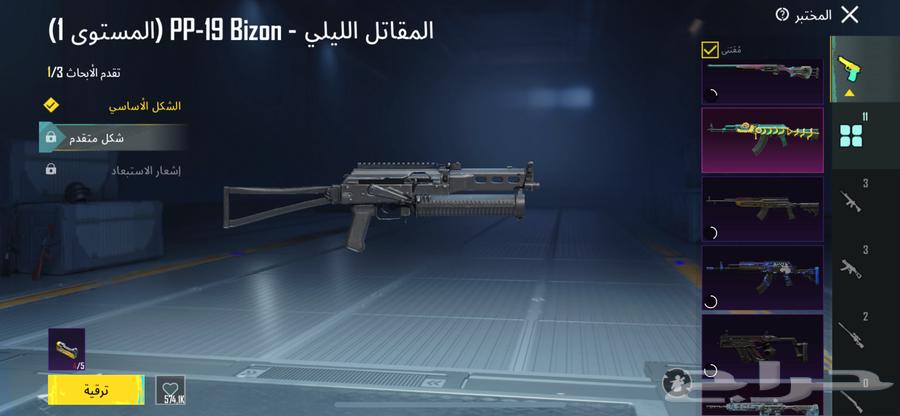 PUBG account with 11 upgraded weapons, half of them maxed out, 2 level 32 mythic, price 250 riyal64454674190081111