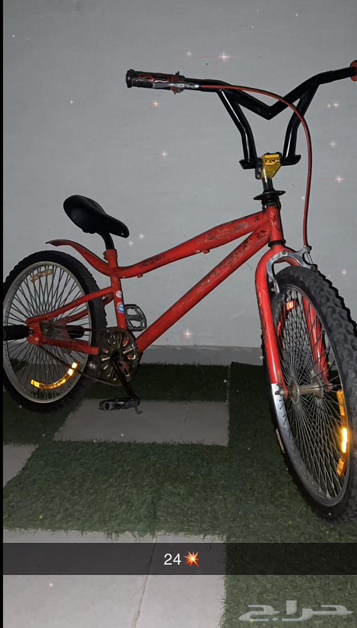 سيكل كوبرا 24 للبيع64457117769729110