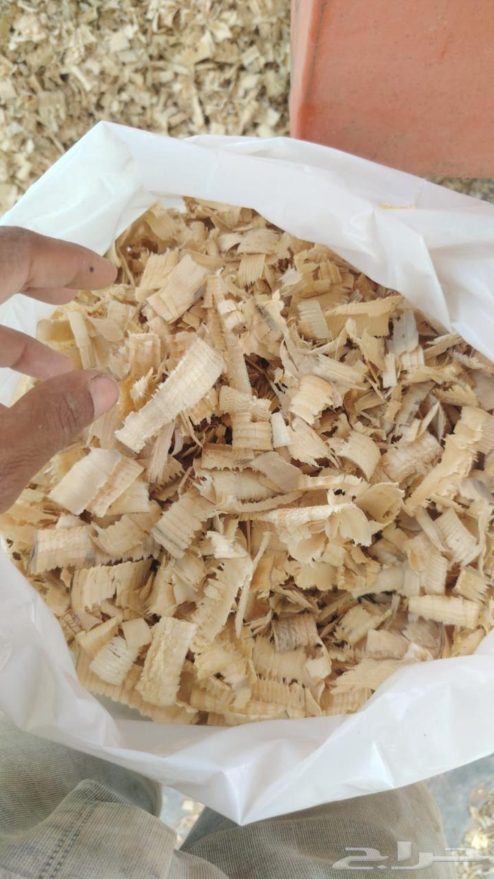 نشارة خشب للخيول64451352223619114