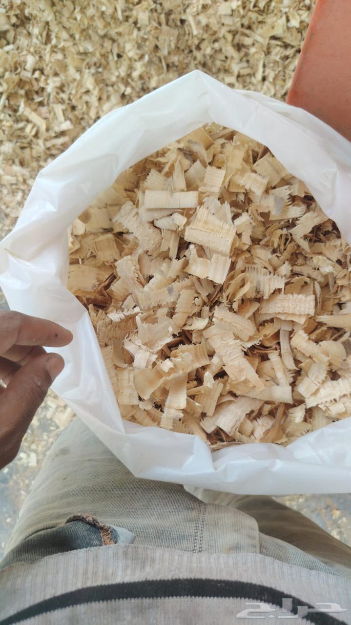 نشارة خشب للخيول64451352223619113