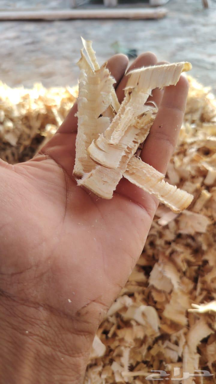 نشارة خشب للخيول64451352223619110