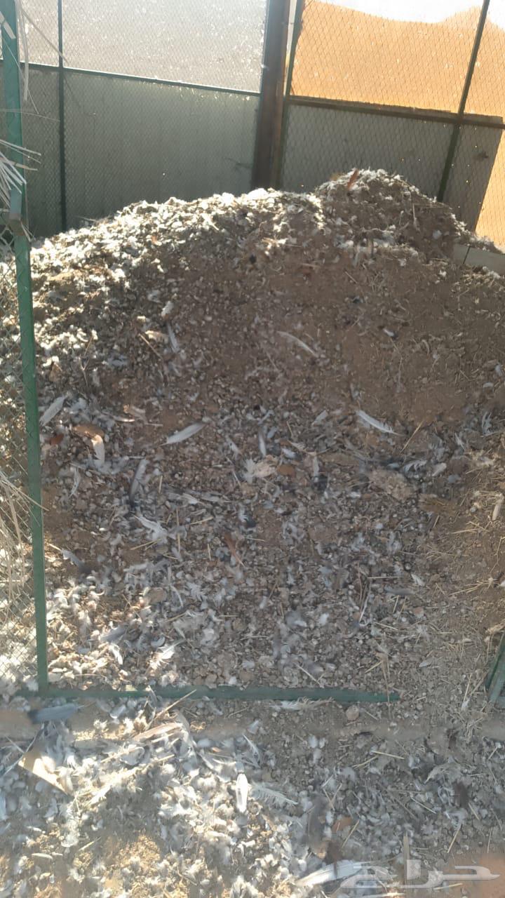 Unprocessed bird fertilizer (pigeon and chicken)64455590620419113