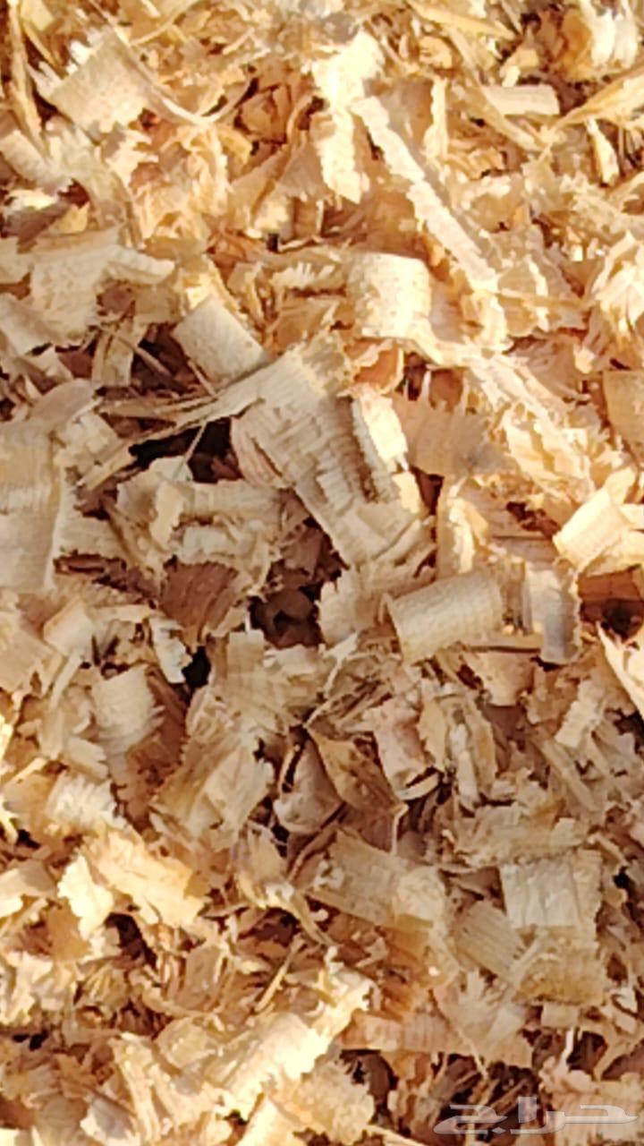 نشارة خشب للخيول64451352223619112