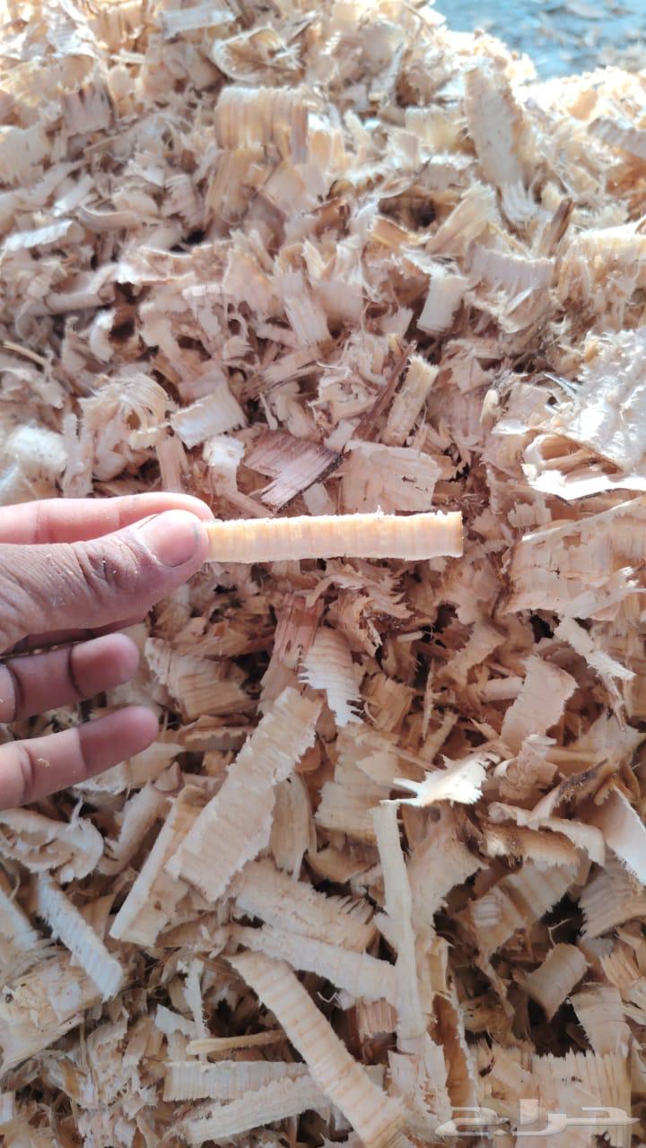 نشارة خشب للخيول64451352223619111