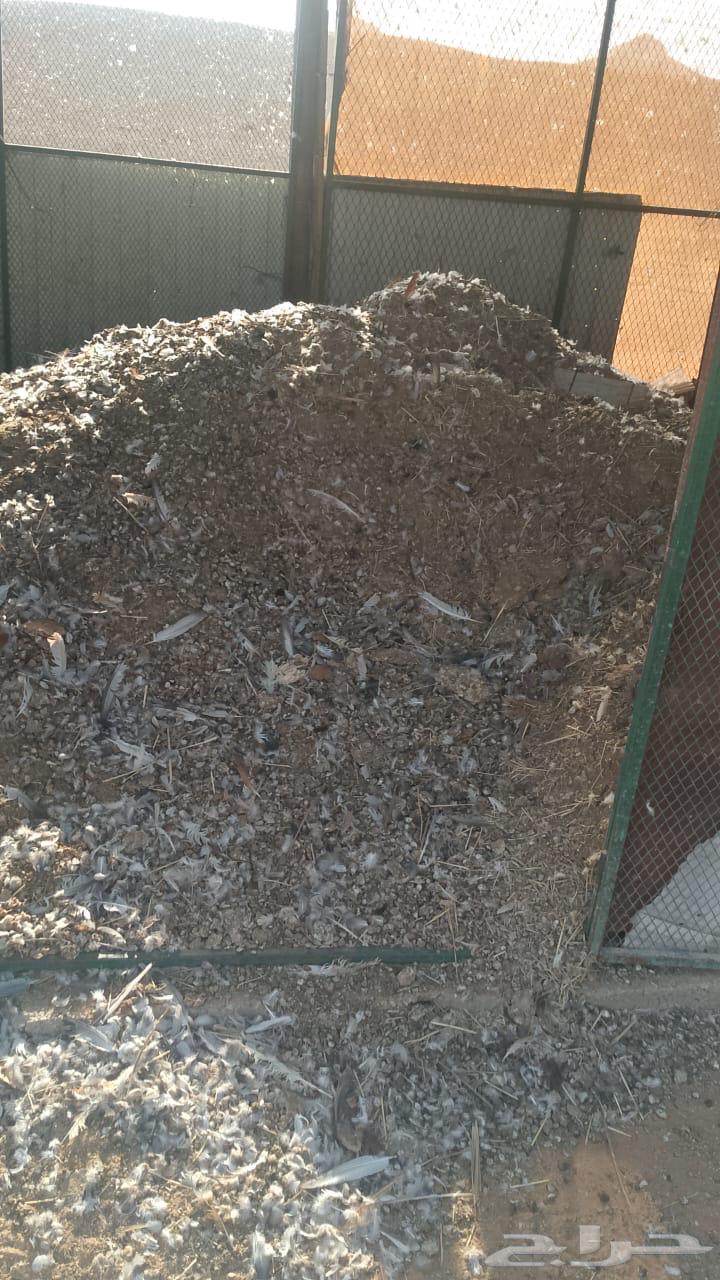 Unprocessed bird fertilizer (pigeon and chicken)64455590620419111