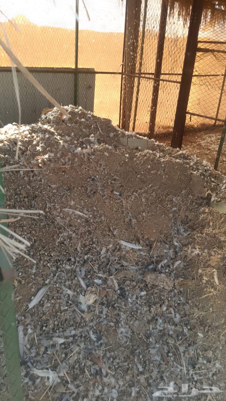 Unprocessed bird fertilizer (pigeon and chicken)64455590620419112