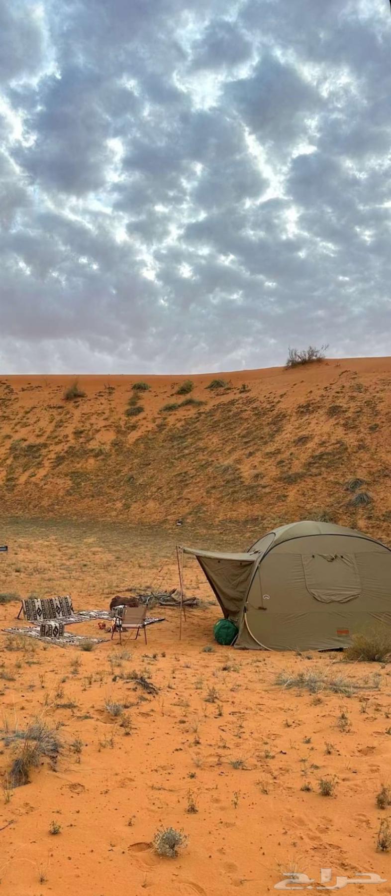 Judge Al-Makshat Tent Auction64455727844099113