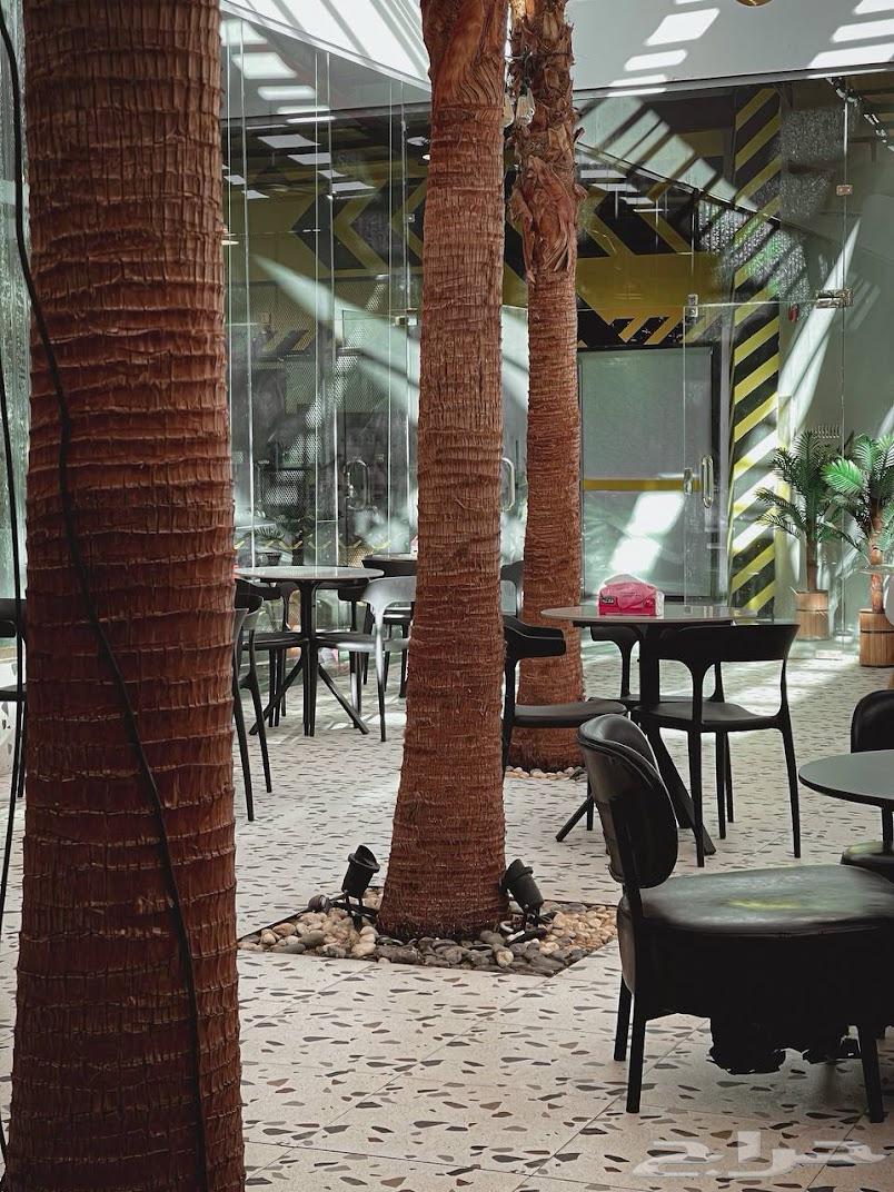 أشتراك نادي شهرين نادي 18064451796182915114