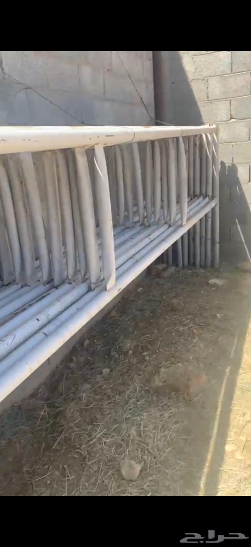 10-panel door with filling or without64457172088194111