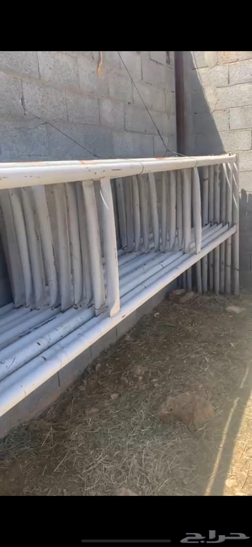 10-panel door with filling or without64457172088194112