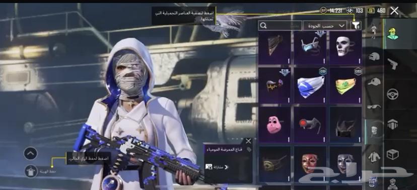 حساب ببجي للبيع64453806384513113