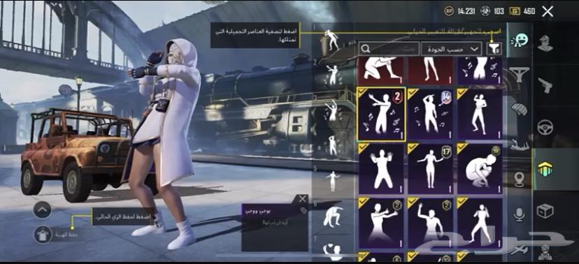 حساب ببجي للبيع64453806384513110