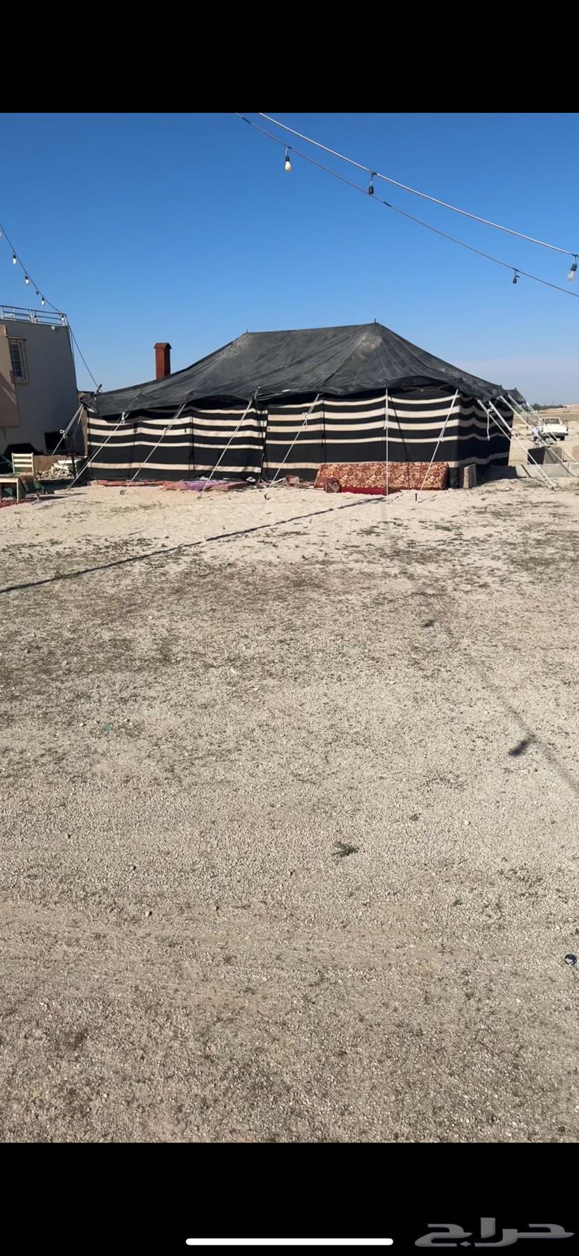 بيت شعر نضيف64456088353794112