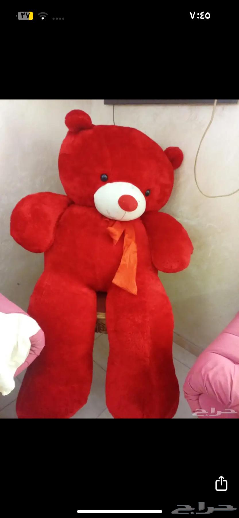 دبدوب مستعمل نظيف للبيع المستعجل64455345599747111