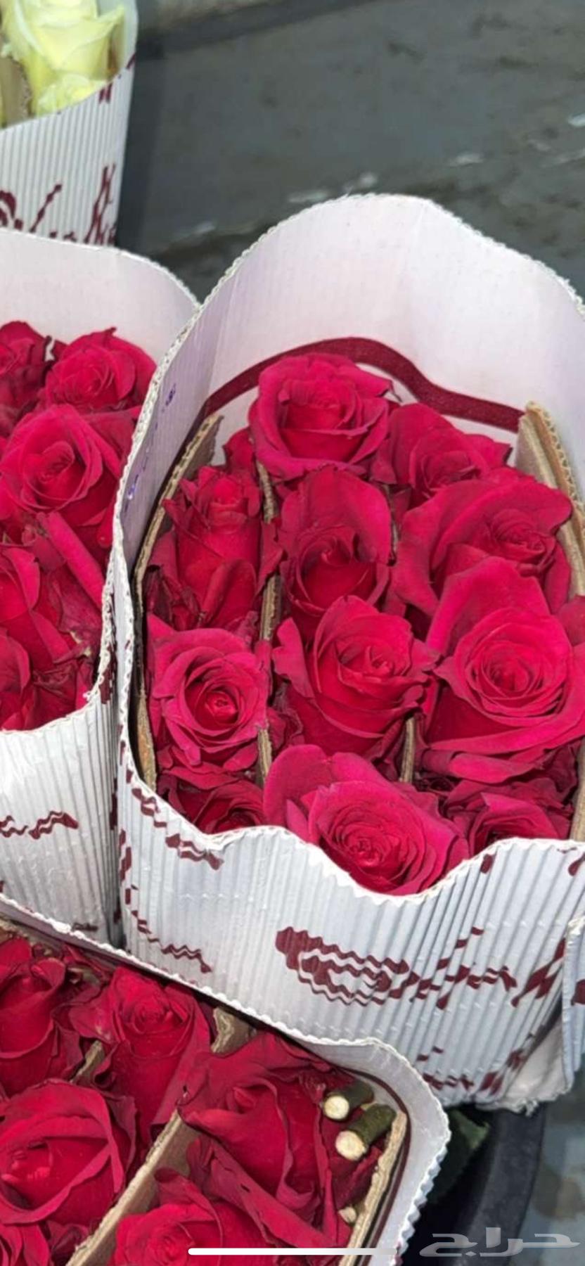 ورد طبيعي ب الجمله64452590401795110