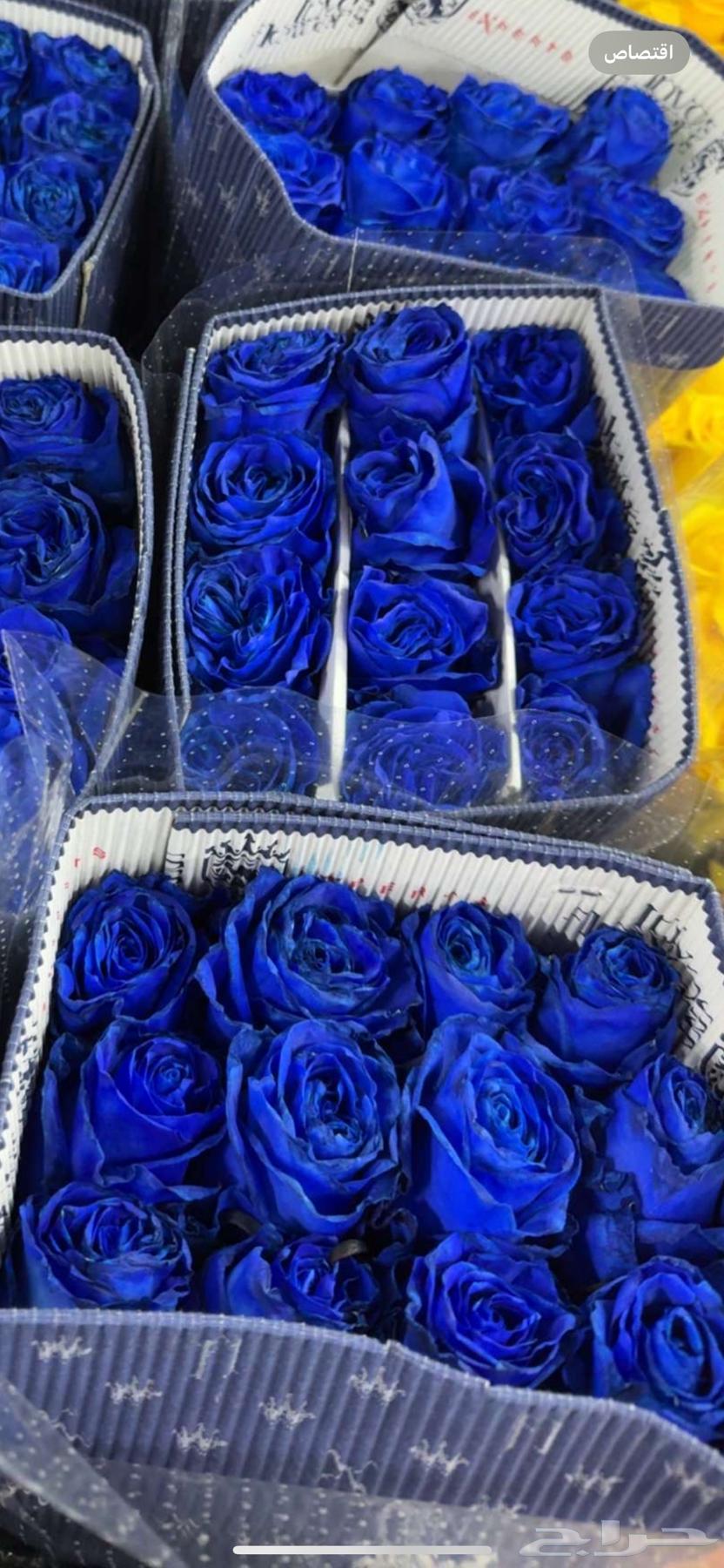 ورد طبيعي ب الجمله64452590401795113