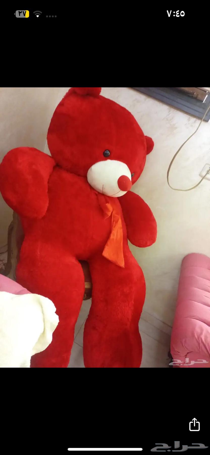 دبدوب مستعمل نظيف للبيع المستعجل64455345599747110