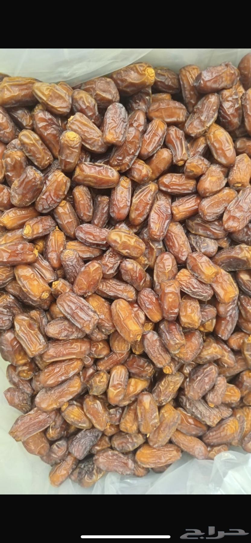 Bisha Safri Dates64455345516417111